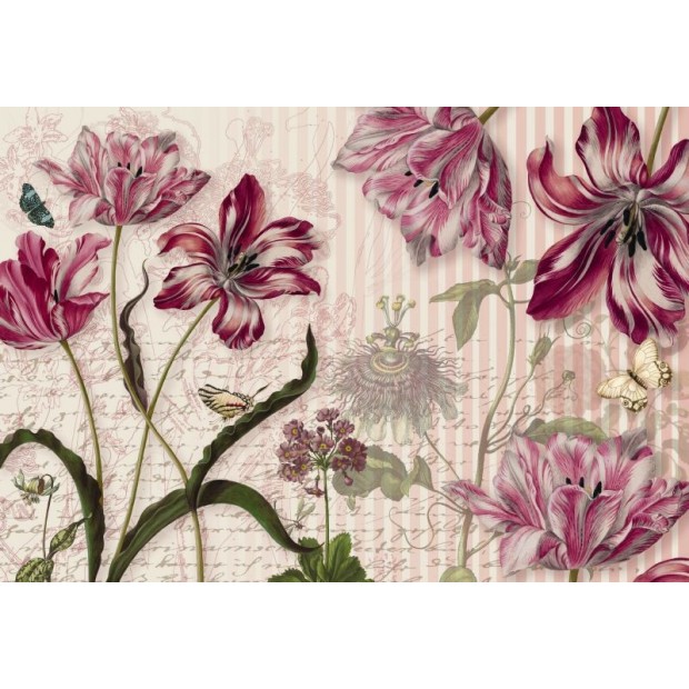 Merian Merian