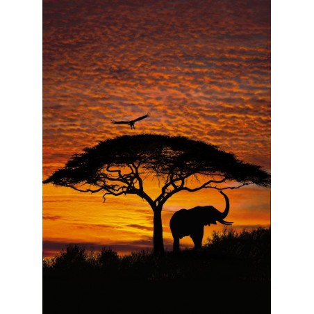 African Sunset