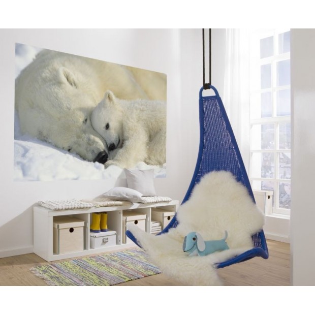 Polar Bears Polar Bears