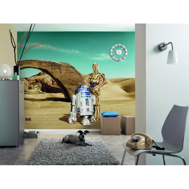 STARWARS Droids STARWARS Droids
